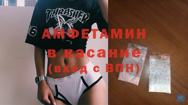 стаф Алексин