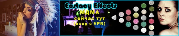 стаф Алексин
